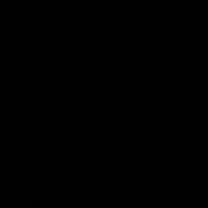 Meet your Posher, Isabella